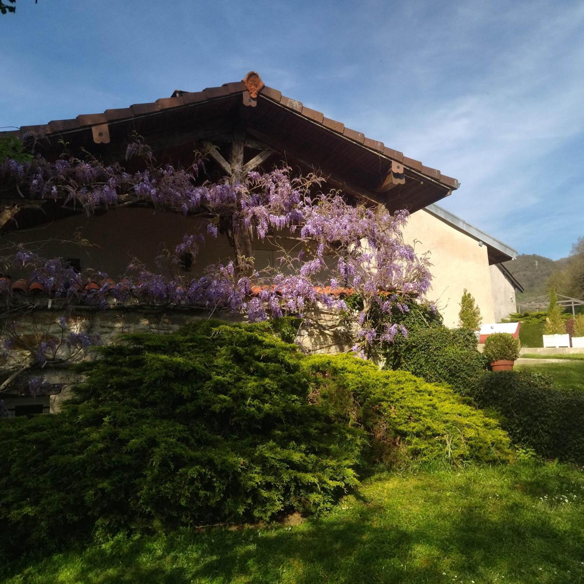 Gite De L'Ancheronne 12 Couchages Spa Lavans-sur-Valouse Exterior foto